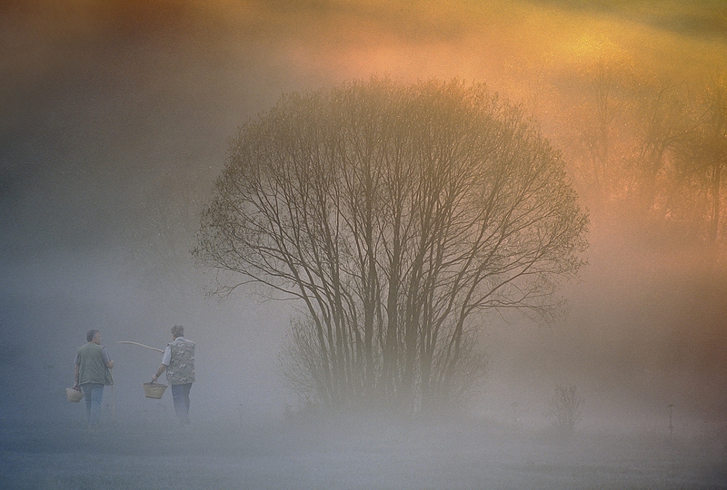 963 - PETIT MATIN - GILSON GUY - belgium.jpg